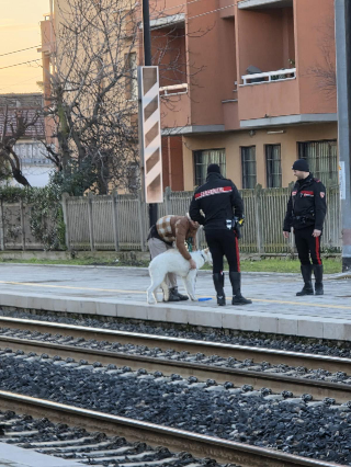 Senigallia – Cane scappa sui binari e la padrona rischia la vita per rincorrerlo, treni bloccati